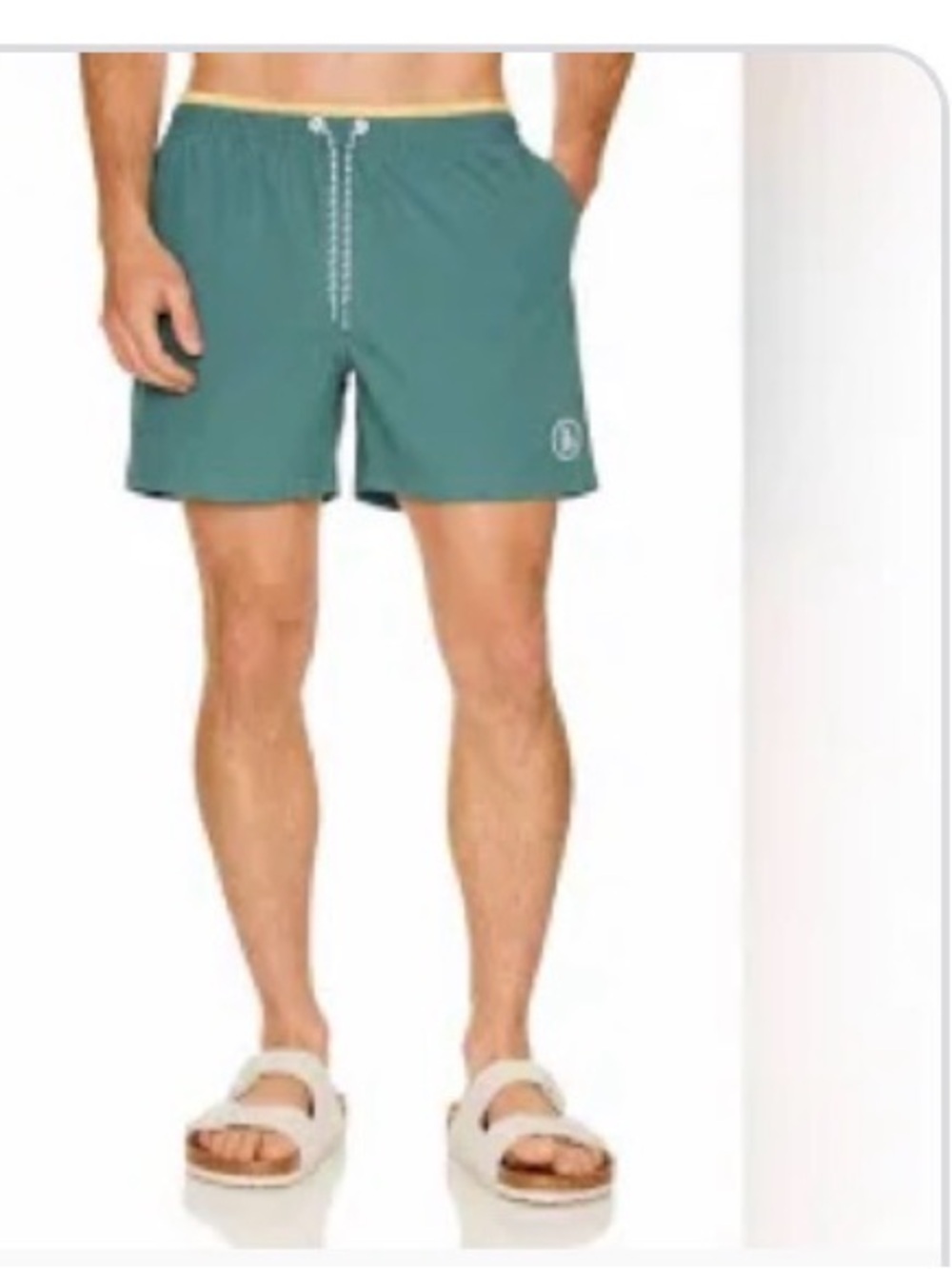 Chubbies Men's Swim Trunks Size Small Teal Green Pineapple Patch Board Shorts